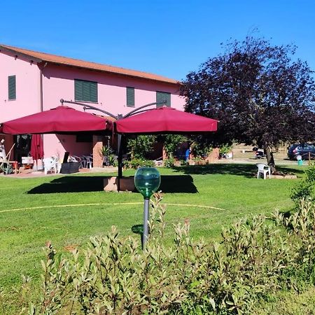 Agriturismo Calendiluna Luni Kültér fotó
