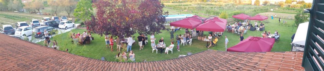 Agriturismo Calendiluna Luni Kültér fotó